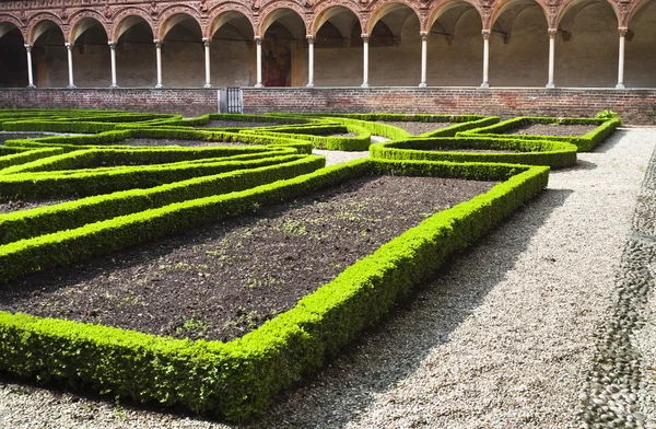 Grădină interioară mănăstire chartreuse — Fotografie, imagine de stoc