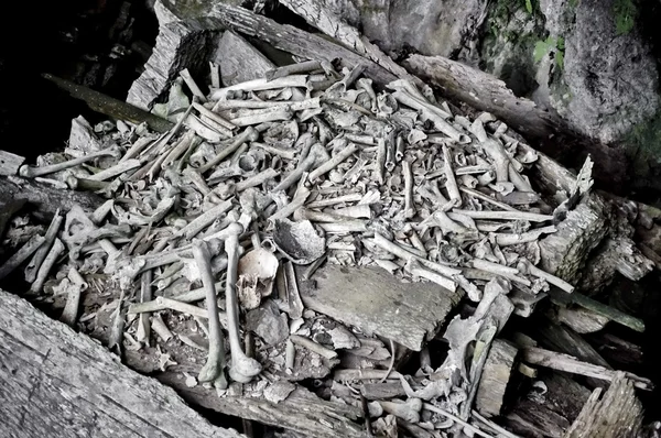 Stock image Wooden coffin full of bones