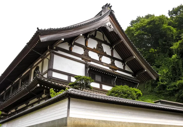 Traditional stylish house — Stock Photo, Image
