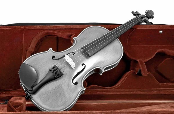 Black and white Violin in red brown case — Stock Photo, Image