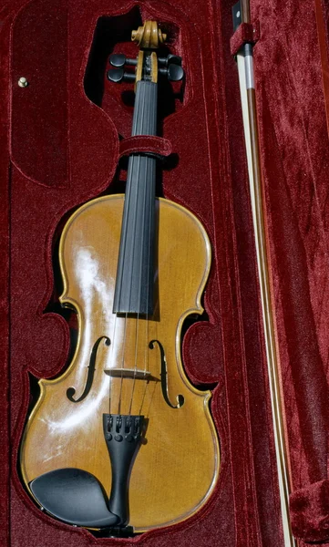 Скрипка на случай — стоковое фото