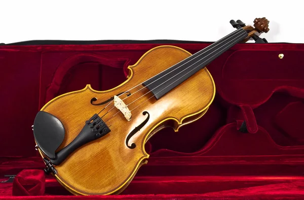 Włoski drewniane skrzypce w przypadku pole — Zdjęcie stockowe