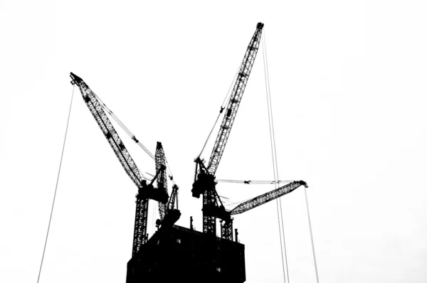 Silhouette Crane — Stock Photo, Image