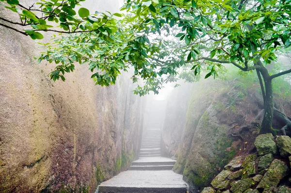 stock image Mountain chinese zen path