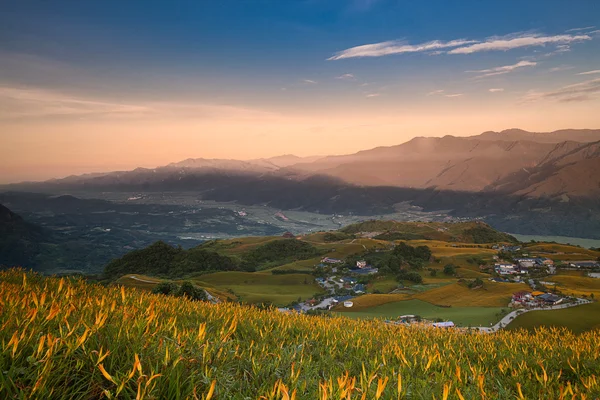 台湾の60石山の百合花花｜花蓮国際芸術祭 — ストック写真