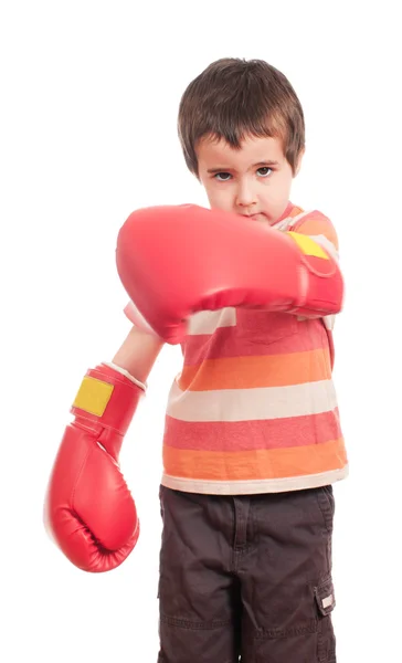 Malý boxer útok — Stock fotografie