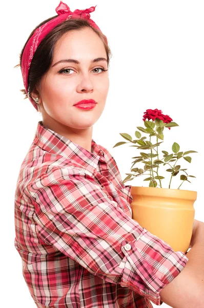 Belle femme au foyer avec pot de fleurs — Photo
