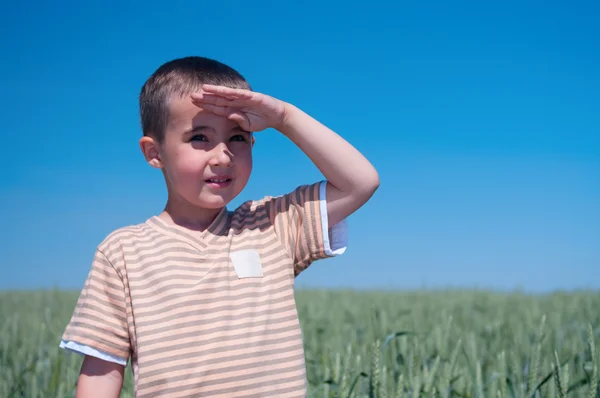 Μικρό αγόρι στο πεδίο σιτάρι στον ήλιο — Φωτογραφία Αρχείου