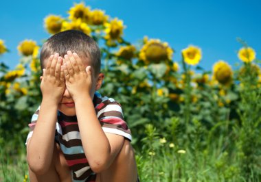 Little plays hide-and-seek in sunflowers