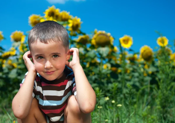 Little plays hide-and-seek in sunflowers — Stock Photo, Image