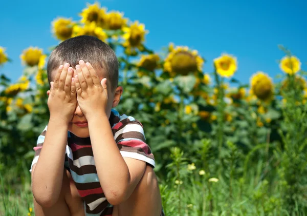 Little plays hide-and-seek in sunflowers — Stock Photo, Image