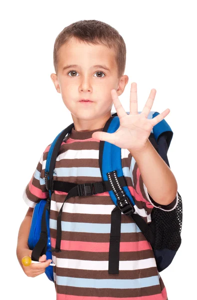 Küçük çocuk İlköğretim öğrenci ile sırt çantası ve sandviç kutusunu göster — Stok fotoğraf