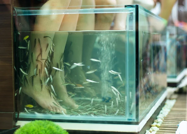 Exotic foot massage in aquarium