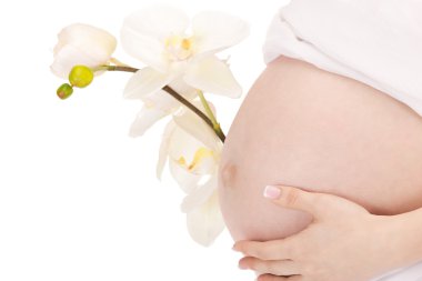 Pregnant woman belly clipart