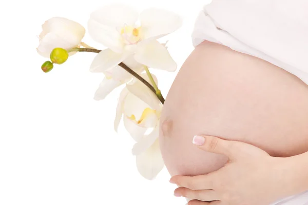 怀孕妇女的腹部 — 图库照片