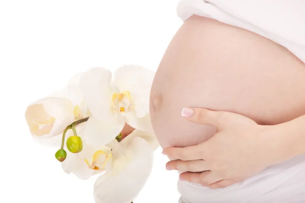 Vientre de mujer embarazada — Foto de Stock