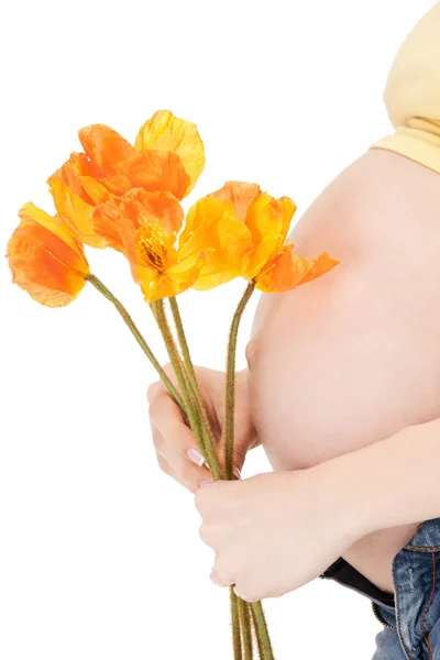 Schwangerer Bauch Stockfoto