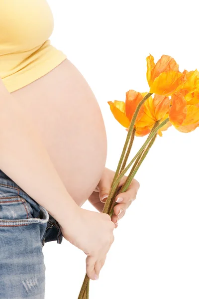 Schwangerer Bauch Stockbild