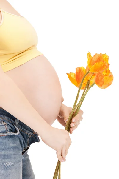 Zwangere vrouw buik Stockfoto