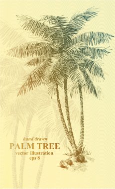 Palm tree clipart