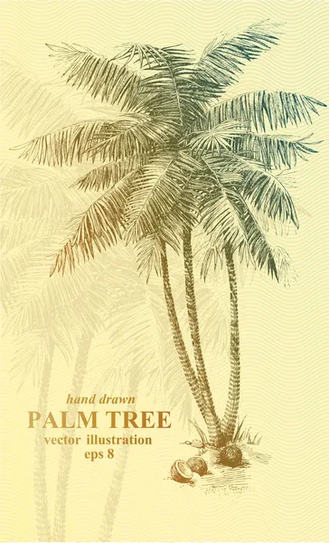 Palme — Stockvektor