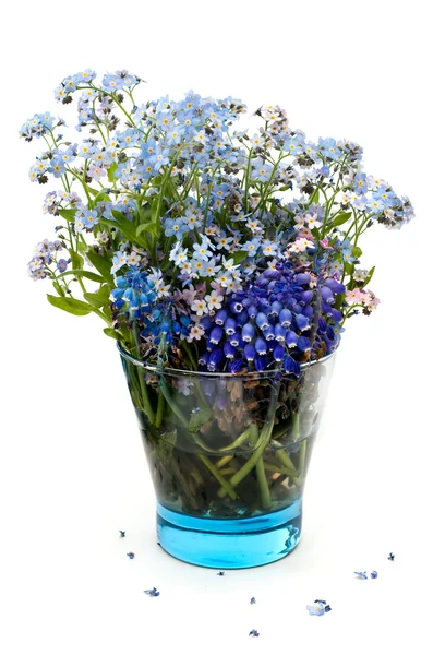 Незабудки цветы в голубом прозрачном стакане на белом фоне — стоковое фото