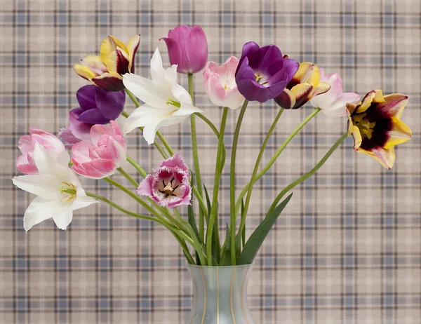 Букет з тюльпанів — стокове фото