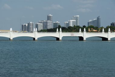 Miami skyscrapers clipart