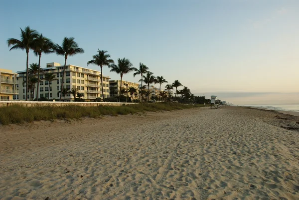 Stock image Palm Beach