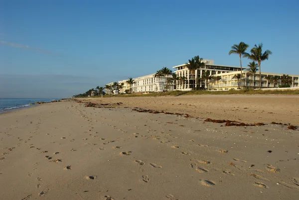 Hotels of Palm beach — Stock Photo, Image