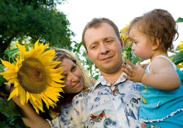 Mamma, pappa och baby i solros fält — Stockfoto