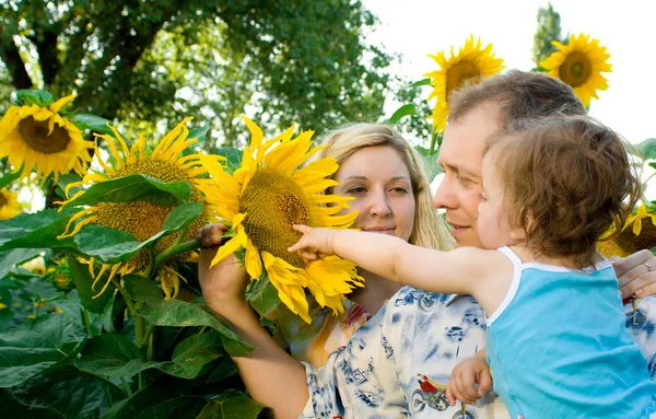 Rodina v slunečnice — Stock fotografie
