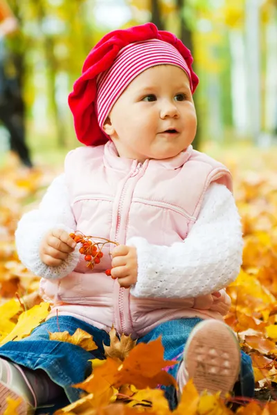 Baby in autumn leaves — Stock Photo, Image