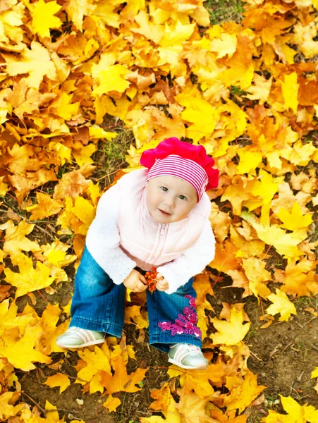 Ребенок в осенних листьях — стоковое фото