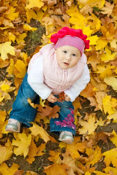 黄色の葉の女の子 — ストック写真
