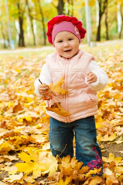 秋の公園で幼児 — ストック写真
