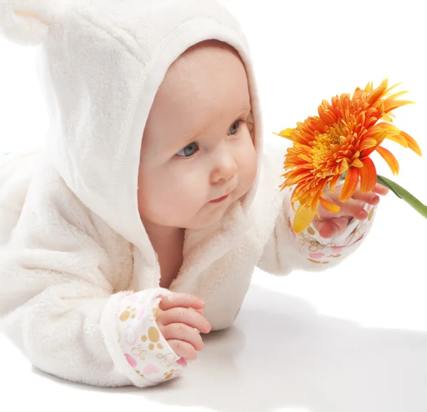 Bebê examinando margarida — Fotografia de Stock