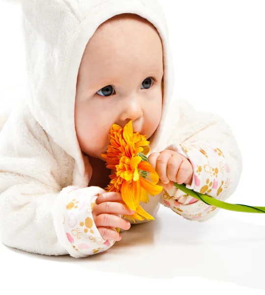 Bebek çiçek — Stok fotoğraf