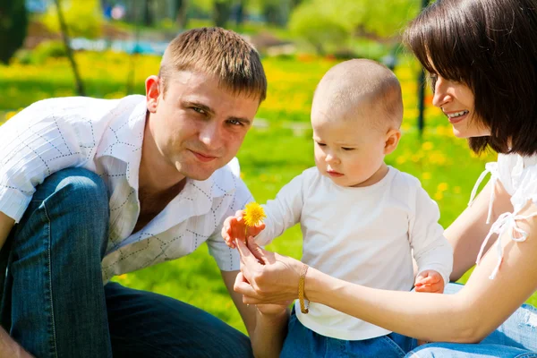 Family picking dandelions — Stock Photo, Image