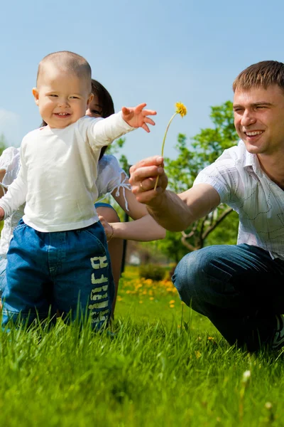 Ojciec daje kwiat do syna — Zdjęcie stockowe