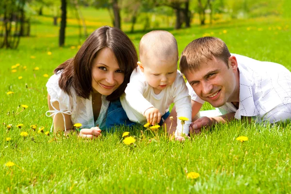 Rodziny na trawie — Zdjęcie stockowe