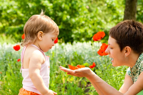 Mamma visar vallmo blomma — Stockfoto