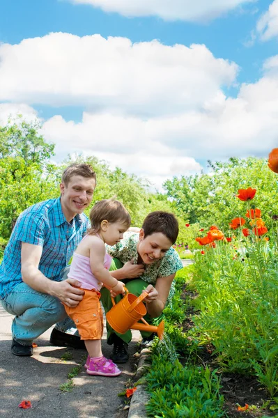 Семья поливает цветы — стоковое фото