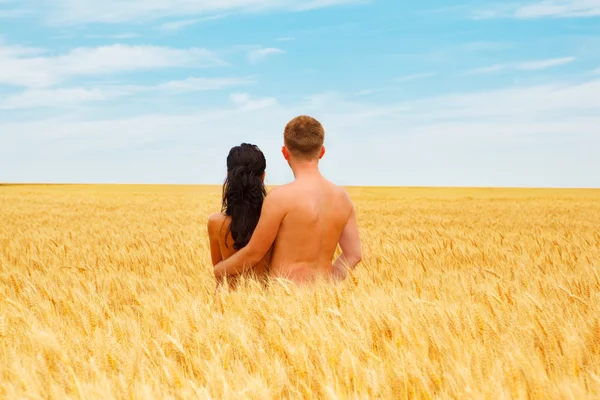 Couple standing in a wheat field — Stock Photo, Image
