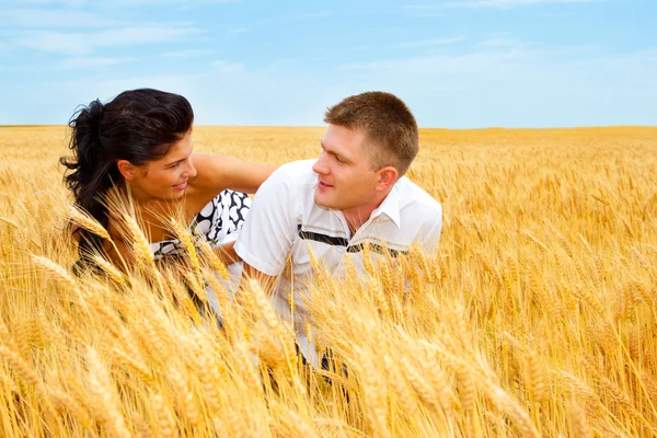 Playing in wheat — Stock Photo, Image