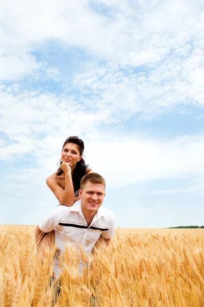 In wheat — Stock Photo, Image