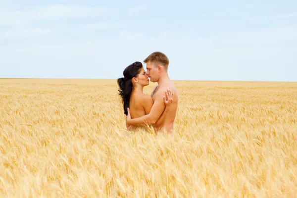 Couple in wheat — Stock Photo, Image