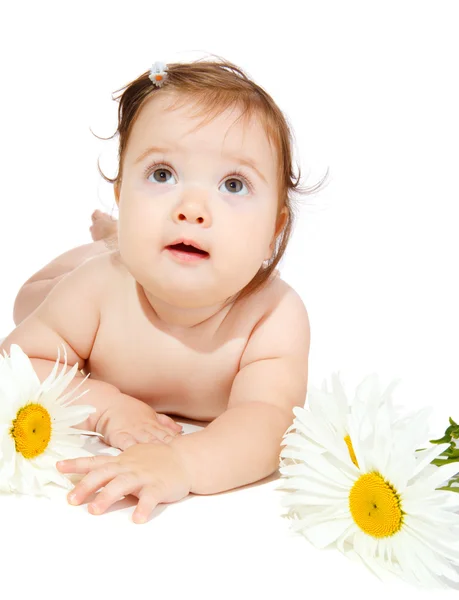 Bebé con manzanillas —  Fotos de Stock
