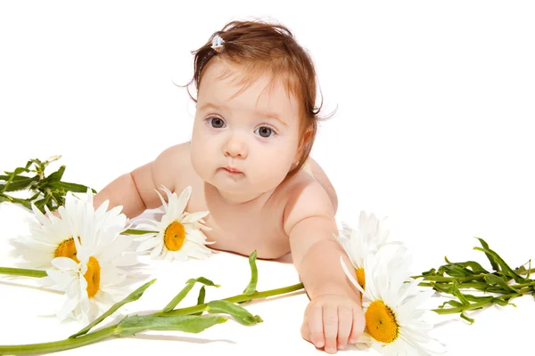Bebé manzanilla — Foto de Stock