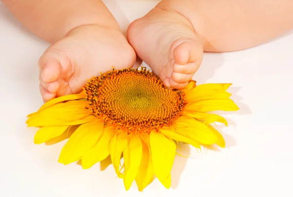 Babyfüße auf Sonnenblumen — Stockfoto